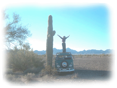 Bus and cactus