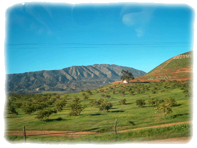 Baja's rolling hills